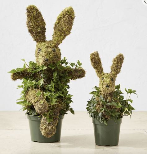 Easter Ideas  – williams sonoma Bunny Topiary, Live Topiary, Half Moon Bay California, Box Wood Shrub, English Ivy, Kids Pottery, Half Moon Bay, Wire Frame, London Design