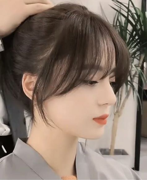 Hair Style Korea, Hair Inspiration Long, Bangs With Medium Hair, Hairstyles For Layered Hair, Haircut Inspo, Haircuts Straight Hair, Long Hair With Bangs, Haircuts For Medium Hair, Hair Stylist Life