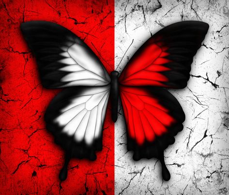 White-red butterfly by O--V.deviantart.com on @DeviantArt Abstract Butterfly Painting, Pictures Wall Decor, Red Abstract Painting, Abstract Butterfly, Butterfly Artwork, Wall Decor Abstract, Red Painting, Pictures Wall, Wall Art Black And White