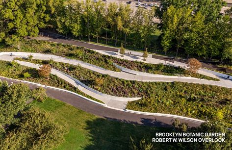 Weiss/Manfredi Architecture/Landscape/Urbanism - Robert W. Wilson Overlook, a wandering path through flowering Crape myrtle trees Architecture Jobs, Brooklyn Botanic Garden, Myrtle Tree, Public Realm, Crape Myrtle, Best Architects, Landscape And Urbanism, Botanic Garden, Architectural Digest