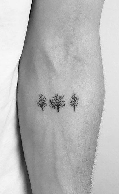 3 Trees Tattoo Simple, Stick Tree Tattoo, Tree Tattoo Designs Simple, Line Work Tree Tattoo, Earthy Tree Tattoos, Pretty Tree Tattoo, Tree Tattoo Linework, 3 Trees Tattoo, Yew Tree Tattoo