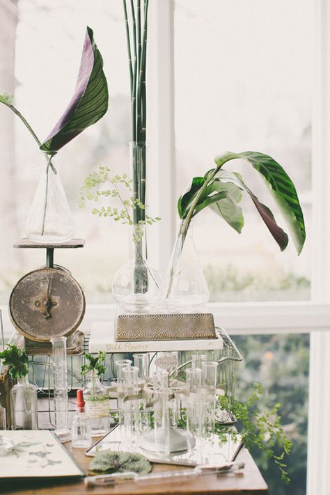 Wedding Color Palate, Lush Greenery Wedding, Greenery Table Runner, Vintage Botanical Wedding, Vintage Nashville, Science Wedding, Botanical Wedding Inspiration, Green And White Wedding, Green Academia