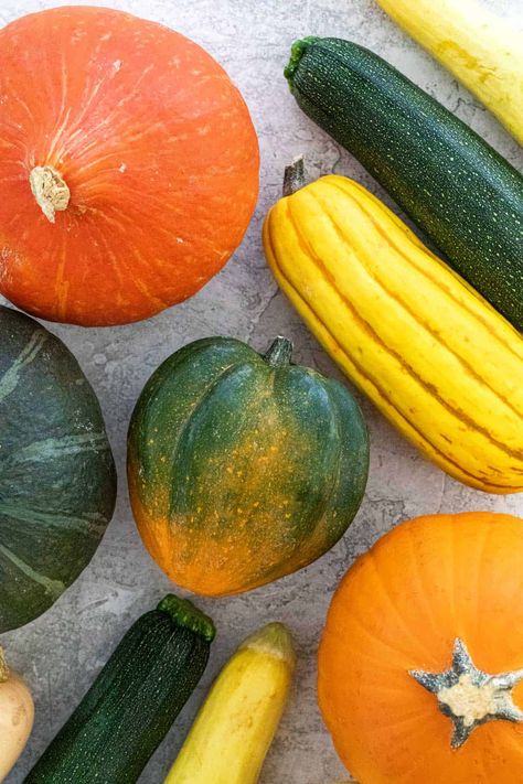 Though they're pillars of the produce aisle, there are several types of squash to know and love. A list of summer and winter varieties. #squash #wintersquash #summersquash Squash Varieties Types Of, Types Of Squash Winter, Types Of Squash Summer, Different Squash Types, Vegetable Photos, Types Of Squash, Carnival Squash, Yellow Crookneck Squash, Sweet Dumpling Squash