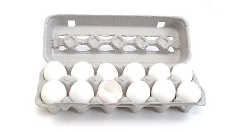 How to Freeze Eggs, Milk and Other Unexpected Foods~ GREAT TIPS! How To Freeze Eggs, Freeze Eggs, Freezing Eggs, White Egg, One Good Thing By Jillee, Food Info, Freezer Cooking, Grocery Budgeting, Frozen Meals