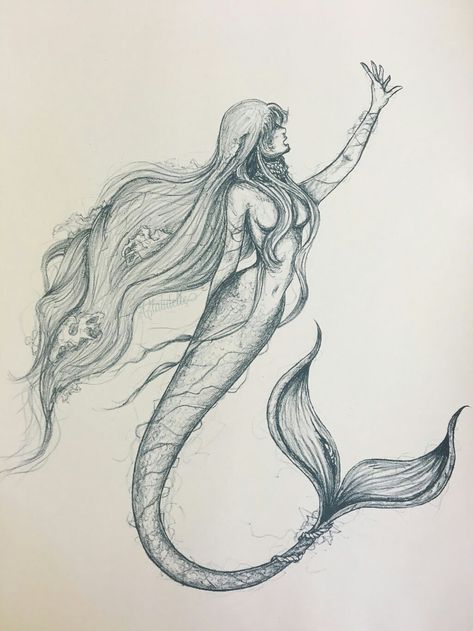 Mermaid Figure Drawing, Realistic Mermaid Drawing, Ocean Creatures Art, Mythical Creature Art, Mermaid Sketch, Mermaid Tattoo Designs, Realistic Mermaid, Anime Drawing Sketches, Mermaid Statues