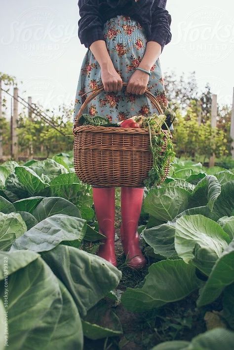 Woman Holding Basket, Garden Photography, Pretty Stuff, Farm Girl, Farm Gardens, 가을 패션, Kitchen Garden, Photography Women, Fresh Vegetables