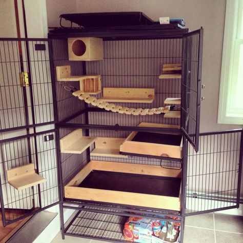 Diy Chinchilla Cage, Degu Cage, Pet Rat Cages, Hedgehog Habitat, Chinchilla Care, Rattus Rattus, Rat Cage Accessories, Rat House, Chinchilla Pet