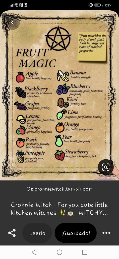 Apple Magical Properties, Lime Magical Properties, Apple Witchcraft, Witch Healing, Strawberry Witch, Herb Magick, Herb Magic, Herbal Witch, Witch Things