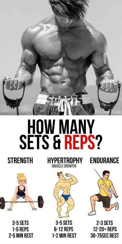 Gym Things, Pull Workout, Sets And Reps, Gym Designs, Ectomorph Workout, Compound Movements, Fitness Studio Training, Workout Man, Weight Training Programs