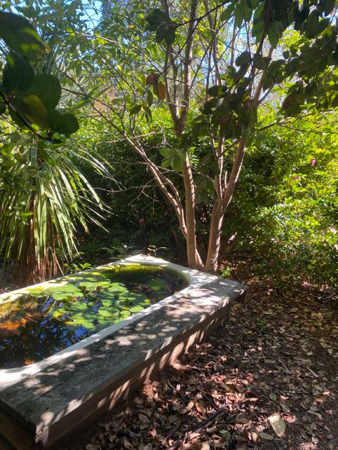 a bath in a garden with a pond in it with lily pads Pond Bathtub, Bathtub Pond, Fairy Garden Outdoor, Wildlife Pond, Frog Mushroom, Frog Pond, Outdoor Bathtub, Indie Alt, Cottagecore Fairy