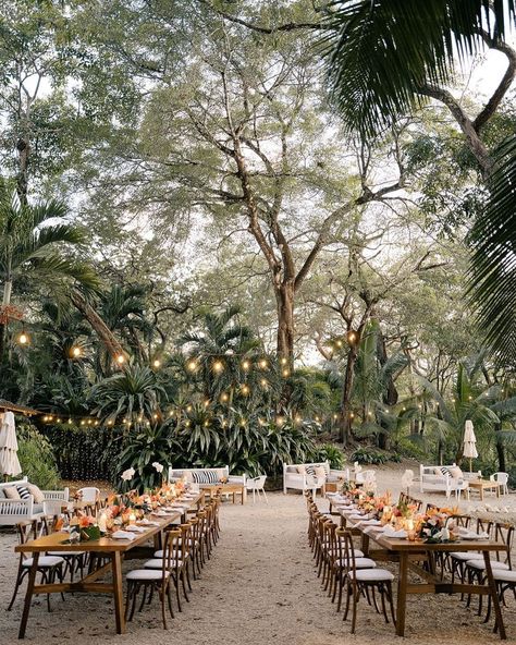 Destination Event Planner (@419weddings) • Instagram photos and videos Tropical Wedding Venue, Tropical Paradise Beach, Dream Beach Wedding, Punta Cana Wedding, Nosara, Costa Rica Wedding, Wedding Venue Inspiration, Luxury Destinations, Luxury Destination Wedding