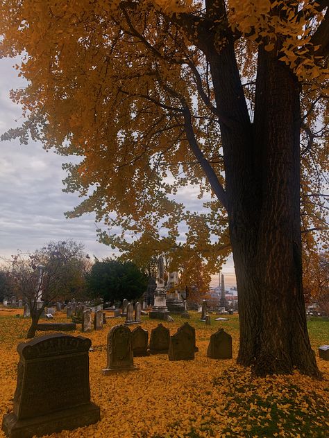 #cemetry #autumn #graveyard #darkacademia #darkaesthetics #autumnleaves #fall #autumnvibes #moody #gothic Autumn Graveyard Aesthetic, Fall Graveyard Aesthetic, Gothic Autumn Aesthetic, Fall Graveyard, Moody Fall Aesthetic, Autumn Graveyard, Gothic Cottagecore Aesthetic, Graveyard Aesthetic, Gothic Autumn