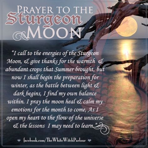 Sturgeon Moon, August Full Moon, Moon Names, Book of shadows, prayer, blessing, wise woman, spiritual, witch, luna, moon, red moon, summer moon, hazel moon,magick, occult, metaphysical, the white witch parlour. Sturgeon Full Moon, August Full Moon, Full Blue Moon, The White Witch, Sturgeon Moon, Lunar Witch, Moon Names, Moon Spells, Full Moon Ritual