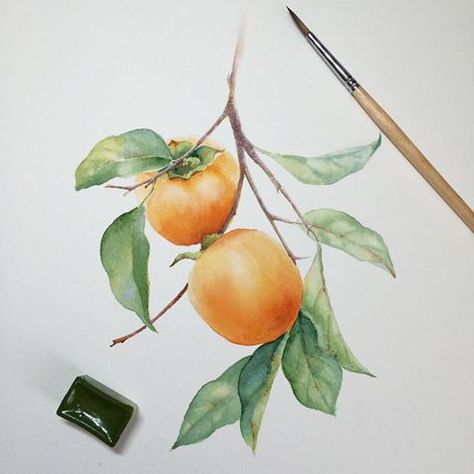 Lemon Watercolor, Lemon Painting, Lemon Art, Winter Fruit, Watercolor Fruit, Fruit Painting, 수채화 그림, Watercolor Trees, Lemon Tree