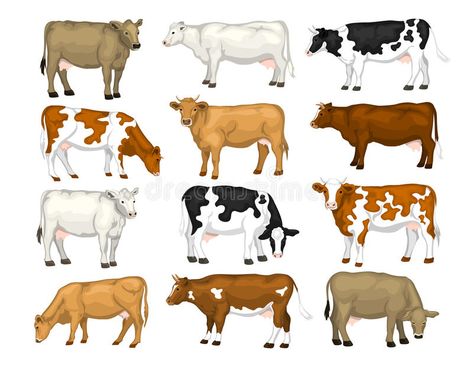 Hen Art, Gado Leiteiro, Breeds Of Cows, Cow Vector, Cow Illustration, Jersey Cow, Dairy Cattle, Barn Painting, Cartoon Cow