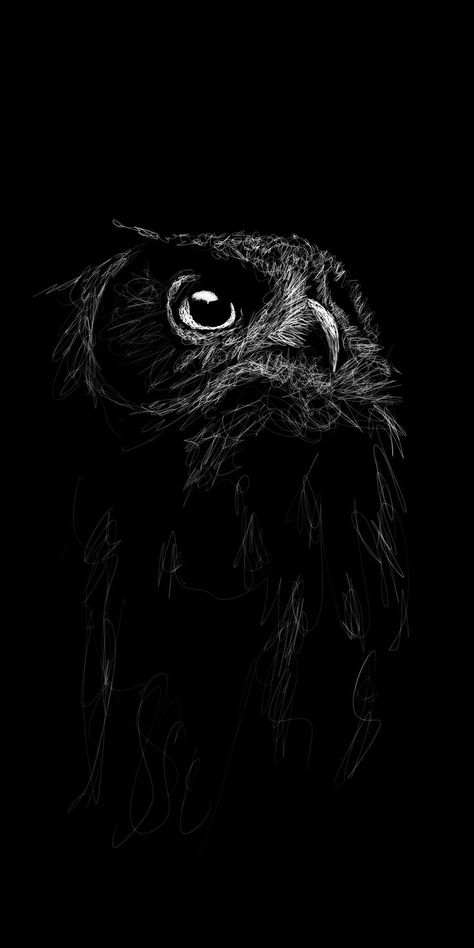 Animal Pictures For Kids, Eyeball Art, Scratchboard Art, Black Paper Drawing, Rennaissance Art, Scribble Art, Black And White Art Drawing, Scratch Art, Charcoal Art