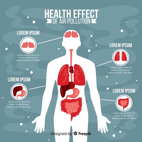 Pollution on human body infographic Free Vector Medicine Infographic, Body Infographic, Air Pollution Poster, Medical Poster, Infographic Poster, Nuclear Energy, Health Smoothies, Diy Basket, Medical Illustration