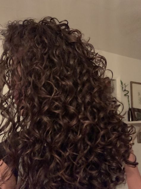 Perfect Curls Natural, Brown Hair Curly Natural, Curly Haircare Aesthetic, Rich Brown Curly Hair, Vision Board Curly Hair, Curly Hair Back View, Chocolate Brown Hair Curly, Curly Hair Vision Board, Long Curly Hair Aesthetic