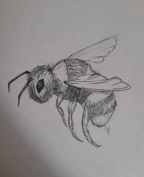 Small Animal Drawings, Nature Drawings Simple Sketch, Bee Sketch, Bee Drawing, Handmade Paintings, Nature Art Drawings, Animal Drawings Sketches, Nature Sketch, Easy Doodles Drawings