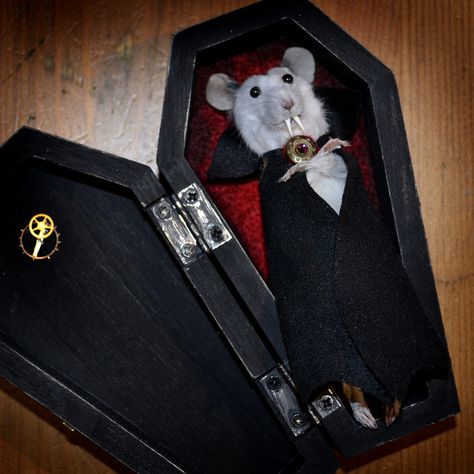 Taxidermy Mouse: Count Mousula by Deni Kendig of Sparrowsongs Taxidermy, Rats, Black