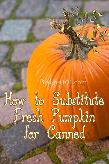 Thanksgiving Posts, Thrifty Meals, Fresh Pumpkin Recipes, Thanksgiving Goodies, Recipes Pumpkin, Easy Cheap Dinners, Pumpkin Dishes, Cooking Pumpkin, Fresh Pumpkin