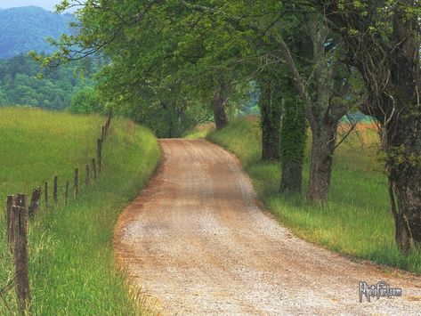 Cades Cove Tennessee, Road Painting, Country Lane, Cades Cove, Forest Path, Farm Scene, Dirt Road, Rural Area, Take Me Home