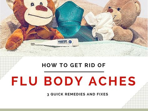 Body Aches Remedies, Natural Add Remedies, Cold Or Allergies, Natural Remedies For Migraines, Body Aches, Sick Remedies, High Fever, Cold Home Remedies, Body Ache