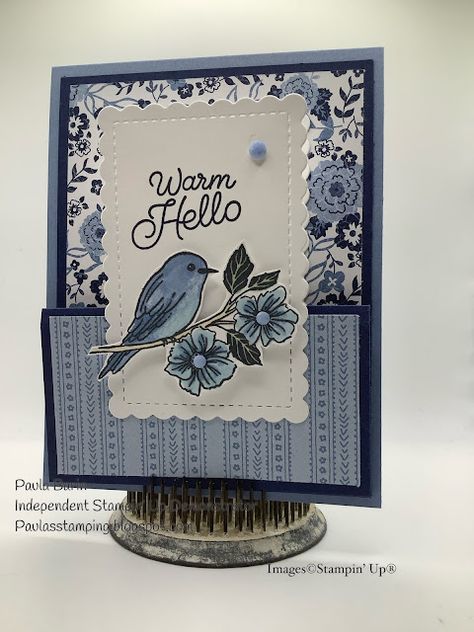 Stampin Up Poetic Expressions Dsp, Stampin Up Peaceful Place Dsp, Paula’s Choice, Stampin Up Songbird Bundle, Hello Cards, Bird Cards, Fancy Fold Cards, Get Well Cards, Card Making Techniques