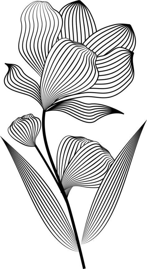 Lined Flower Drawing, Easy Line Drawings, White Floral Painting, Floral Stencils, Flowers Line Art, Contour Line Drawing, Abstract Art Projects, Line Art Flowers, Contour Drawing