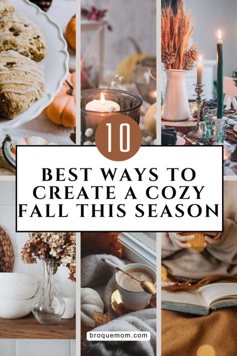 Cozy Fall Decor Ideas For The Home, Fall 2024 Decor Trends, Fall House Decor Indoor, Fall Decor 2024, Diy Nature Decor, Indoor Fall Decor Ideas, Fall Decor Indoor, Creepy Halloween Decorations Diy, Cozy Autumn Home