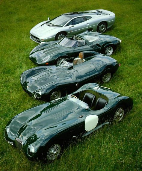 Jaguar C Type, Jaguar Xjs V12, Jaguar Xj13, Jaguar Sport, Jaguar Xj220, Jaguar Type, Jaguar (cars), Jaguar Daimler, Jaguar Xk120