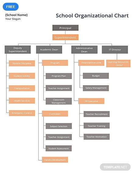 Let parents and students have an overview of the important directors and administrators with this school organizational chart. This is a free template to download. Edit and customize freely with MS Word. Organization Chart Design Ideas, Organizational Chart Template, Organizational Chart Design, Chart School, Disney Graduation, Kids Handwriting Practice, Kids Handwriting, Organization Chart, Teacher Recruitment