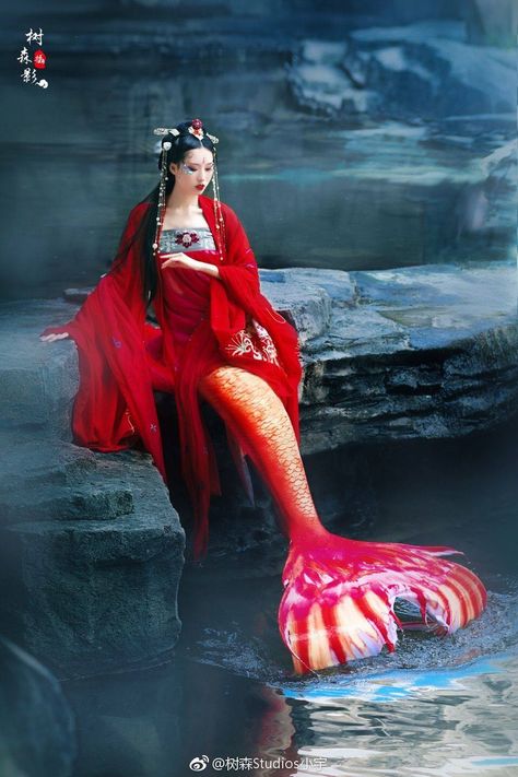 Stunning Asian Mermaid - Artist photagrapher model unknown Asian Mermaid, Types Of Mermaids, Mermaid Pose, Fantasy Mermaids, Mermaid Swimming, Mermaid Drawings, Real Mermaids, Fantasy Gifts, Fairytale Photography