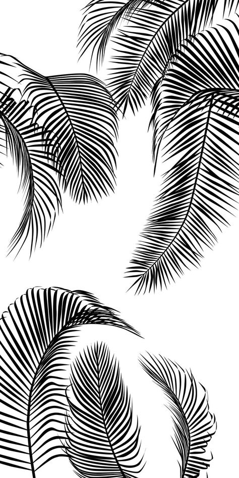 Palm Leaf Drawing, Tropisches Tattoo, Palm Tree Wallpaper, Iphone Drawing, Palm Tree Drawing, Tree Wallpaper Iphone, Palm Trees Wallpaper, Leaf Photography, Palm Tree Art