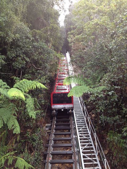 Blue Mountains Australia, Beautiful Australia, New Zealand Adventure, Sydney Beaches, Travel Route, Travel Wishlist, The Blue Mountains, Blue Mountains, Nsw Australia