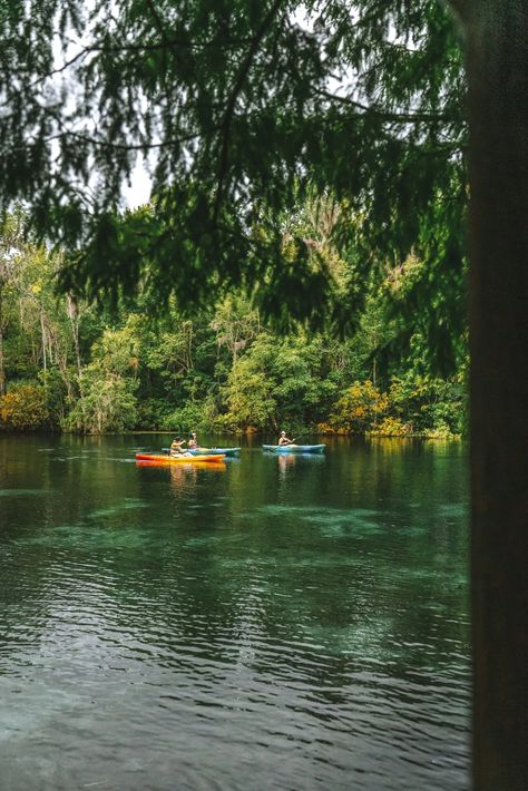 10 Things To Do In Ocala, Florida’s Outdoor Capital | 2023 Guide | Drink Tea & Travel Rainbow Springs State Park, Ocala National Forest, Rainbow River, Florida Aesthetic, Glass Bottom Boat, Florida Sunshine, Ocala Florida, Horse Country, Florida Life