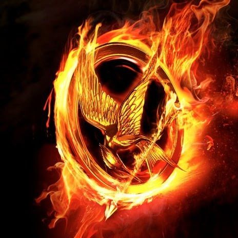 Flaming Mockingjay pin. The Hunger Games, The Hunger, On Fire, Hunger Games, Tv Series, Tv, Black