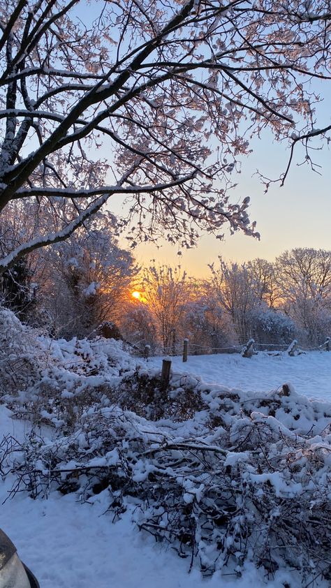 Snowy Morning Aesthetic, Sunny Snowy Day, Snowy Autumn, Winter Morning Aesthetic, Winter Motivation, Snowy Sunrise, Snow Sunrise, Winters Morning, Snow Beauty