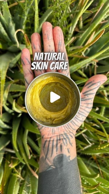 Caribbean Foods, Aloe Vera For Skin, Plants Ideas, Herbal Apothecary, Aloe Gel, Skin Care Wrinkles, Aloe Vera Plant, Diy Cosmetics, Beauty Diy