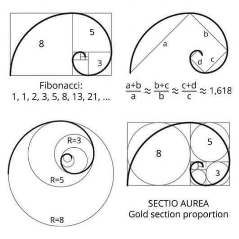 The Golden Spiral, Fibonacci Golden Ratio Art, The Golden Ratio Art, Fibanocci Spiral, Fibinocci Spiral, Golden Spiral Art, Spiral Geometry, Fibonacci Spiral Art, Golden Ratio Art