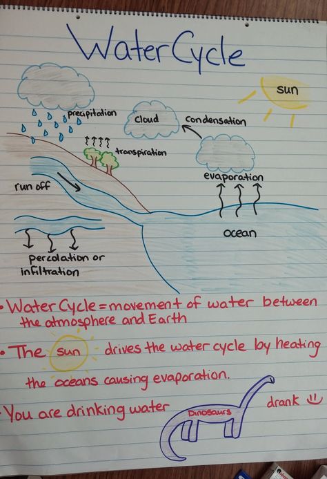 Miller's Science Space: Anchor Charts, Journals and Sooooo Much Going on! Water Cycle Anchor Chart, Science Chart, Science Anchor Charts, Middle School Activities, 7th Grade Science, Science Space, Interactive Science, Science Notebooks, 4th Grade Science