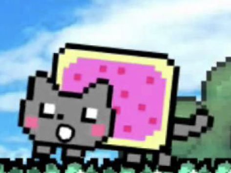 Nyan Cat Pfp, Cat Pfp, Nyan Cat, Pink