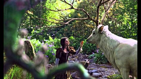 Snow White and the White Stag Huntsman Movie, Snow White Huntsman, Snowwhite And The Huntsman, Snow White And The Huntsman, Celtic Myth, The Huntsman, White Reindeer, Septième Art, Forest Creatures