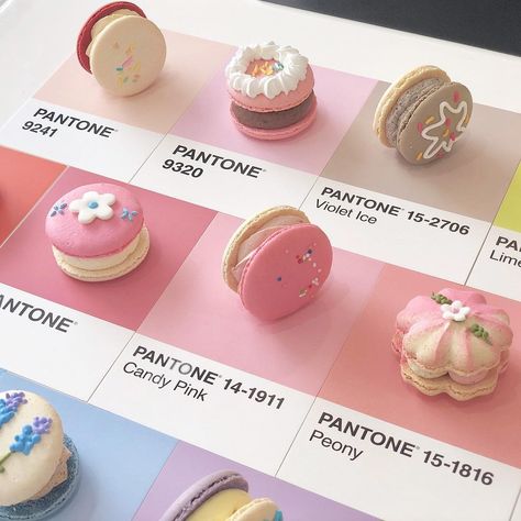 Kue Macaroon, Macaron Cookies, Pink Food, Dessert Packaging, Pastry And Bakery, Cute Desserts, Jolie Photo, Pretty Cakes, Cafe Food