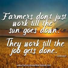 Farmers Quotes, Farmer Quote, Farming Quotes, Agriculture Quotes, Farm Life Quotes, Farmer Quotes, Farmer Style, Country Sayings, Farm Quotes