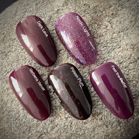 CND Shellac Poision Plum Comparison Shellac Colours, Cnd Shellac Colors, Kiara Sky Gel Polish, Plum Nails, Shellac Colors, Color Wheels, Cnd Nails, Cat Eye Gel Polish, Fall Gel Nails