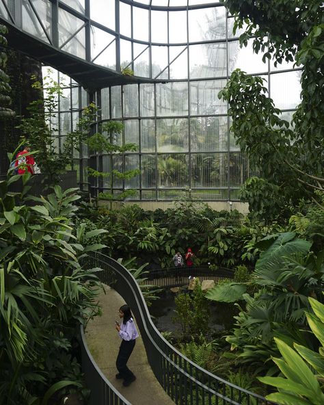 https://www.archdaily.com/1002635/before-and-after-the-tropicarium-of-the-bogota-botanical-garden/648c869a5921185b5c596492-before-and-after-the-tropicarium-of-the-bogota-botanical-garden-photo?next_project=no Atrium Garden, Future Buildings, Landscape Elements, Architectural Section, Garden Cafe, Garden Architecture, Garden Greenhouse, Gardens By The Bay, Garden Photos