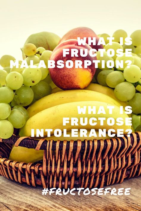 Low Fructose Diet, Fructose And Lactose Free Recipes, Fructan Intolerance, Fructose Malabsorption Recipes, Fructose Intolerance Diet, Fructose Malabsorption Diet, Fructose Free Recipes, Fructose Intolerance, Fructose Malabsorption