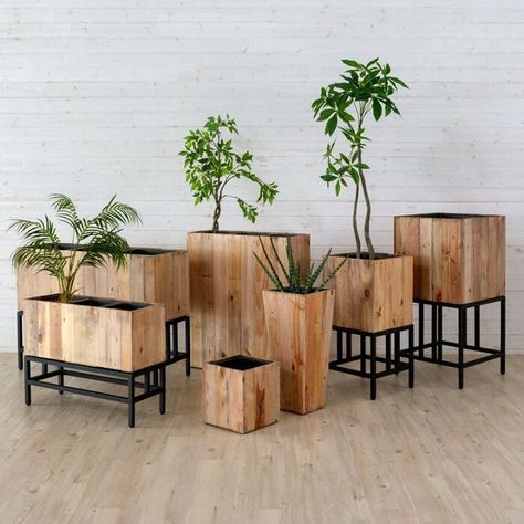 Woodworking Idea Plant Box, Plant Decor Indoor, House Plants Decor, Wooden Planters, Wood Planters, Plant Shelves, Metal Furniture, Planter Boxes, Diy Wood Projects