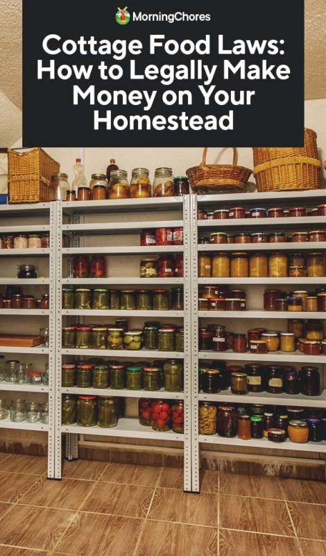 Home Steading Ideas, Farm Store Ideas, Homestead Market, Farm Stand Ideas, Canning Room, Farming 101, Homesteading Books, Cottage Baking, Homestead Pantry